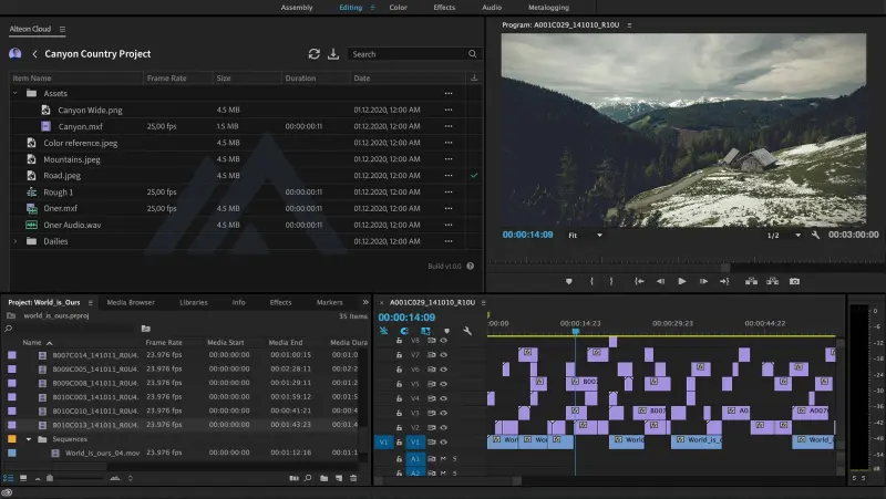 adobe premiere panel alteon